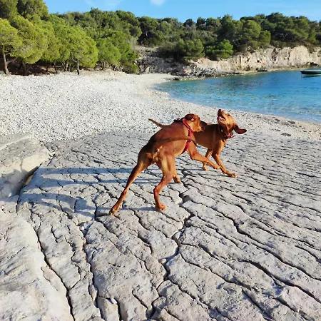 Apartmán Sunrise Vis